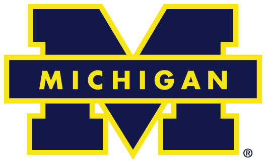 Michigan Wolverines 1988-1996 Primary Logo t shirts iron on transfers...
